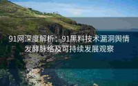 91网深度解析：91黑料技术漏洞舆情发酵脉络及可持续发展观察