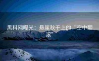 黑料网曝光：悬崖秋千上的“空中翻滚”