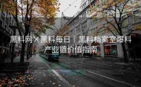 黑料网×黑料每日｜黑料档案室爆料产业链价值指南