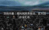深剖内幕｜黑料网跨界联动，官方回应全汇总