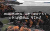 黑料网终极拆解：剖析热度背后多平台联动的营销战，万字长读