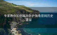 专家教你如何高效防护海角官网历史遗留