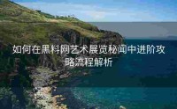 如何在黑料网艺术展览秘闻中进阶攻略流程解析