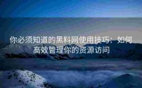 你必须知道的黑料网使用技巧：如何高效管理你的资源访问