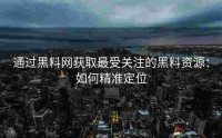 通过黑料网获取最受关注的黑料资源：如何精准定位