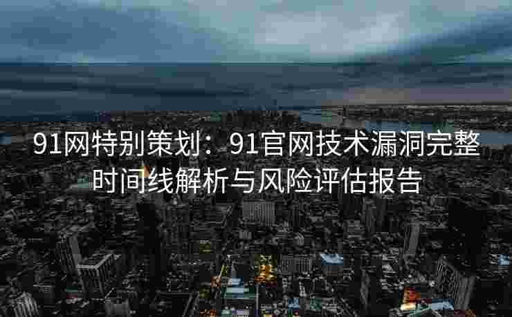91网特别策划：91官网技术漏洞完整时间线解析与风险评估报告